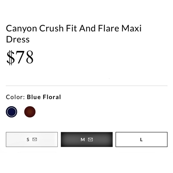 VICI Canyon Crush Fit n’ Flare Midi Dress in Blue Floral M NWT - Picture 4 of 8